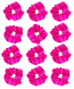 Pack of 12 Classic Scrunchies Set | Hair Bands for Women Stylish | Hair Care Gift items for Women | Suitable for All Hair Types |Fabric-Satin Silk| Color-Pink
